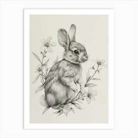 Mini Satin Rabbit Drawing 2 Art Print