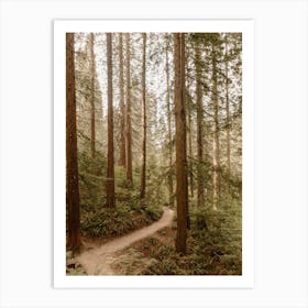 Hoyt Arboretum Forest Art Print