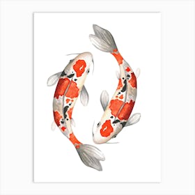 Koi Fish Art Print