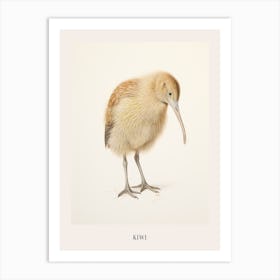 Vintage Bird Drawing Kiwi Poster Art Print