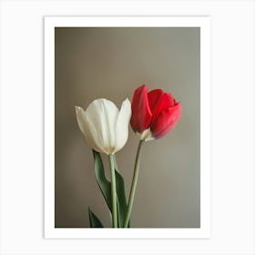 Poster Tulips Art Print