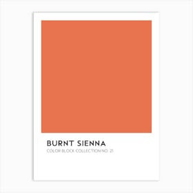 Burnt Sienna Color Block Collection Wall Art Print