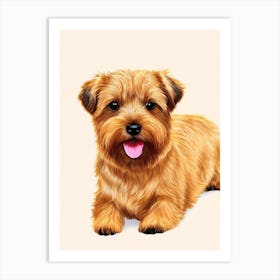 Norfolk Terrier Illustration Dog Art Print