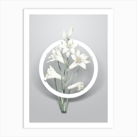 Vintage St. Bruno's Lily Minimalist Floral Geometric Circle on Soft Gray n.0375 Art Print
