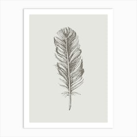 Grey Feather Print 1 Art Print