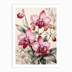 Orchids On A White Background Art Print