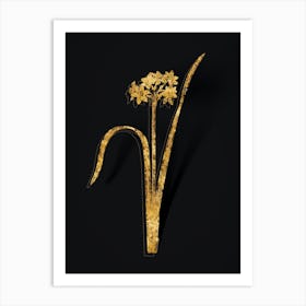 Vintage Cowslip Cupped Daffodil Botanical in Gold on Black n.0323 Art Print