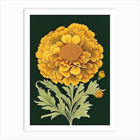 Marigold Wildflower Vintage Botanical 1 Art Print