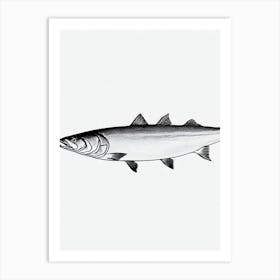 Salmon Black & White Drawing Art Print
