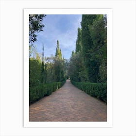 Along the path # 3 -Series: the beautiful garden Art Print