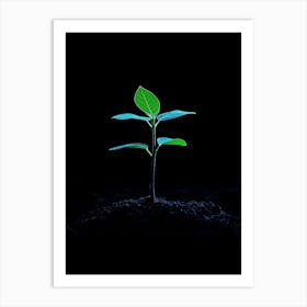 Green Plant In The Dark 9 Art Print