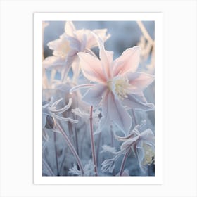 Frosty Botanical Columbine 4 Art Print