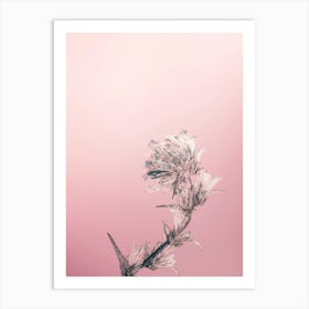 Thistle Art Print