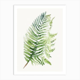 Lady Fern 2 Watercolour Art Print