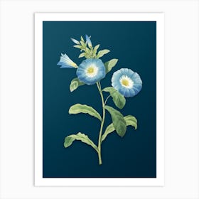 Vintage Field Bindweed Botanical Art on Teal Blue n.0417 Art Print