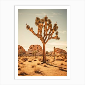  Photograph Of A Joshua Trees In Mojave Desert 3 Art Print