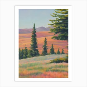 Grand Fir Tree Watercolour Art Print