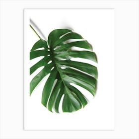 Tropical Leaf Art Print