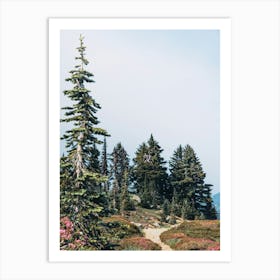 PNW Wild Wanderlust Trail Art Print