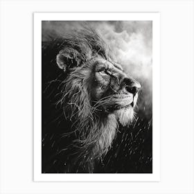 Barbary Lion Charcoal Drawing Facing A Storm 3 Art Print