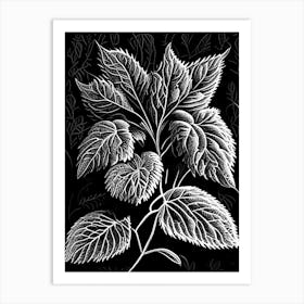 Lemon Balm Leaf Linocut 3 Art Print