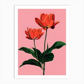 Two Red Tulips Canvas Print Art Print