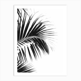 Black And White Palm Leaves 5 Art Print