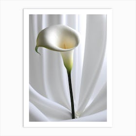 Calla Lily 9 Art Print