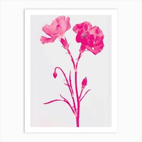 Hot Pink Carnations 2 Art Print