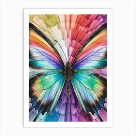 Colorful Butterfly Art Print