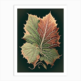 Achiote Leaf Vintage Botanical 2 Art Print