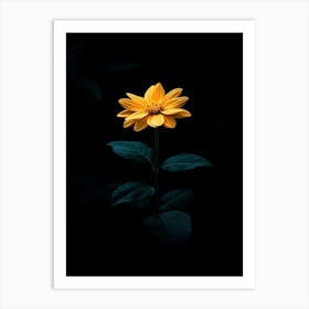 Single Yellow Flower Art Print