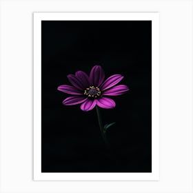 Purple Flower 4 Art Print