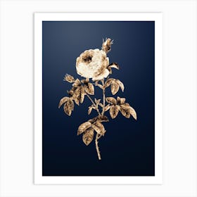 Gold Botanical Provence Rose Bloom on Midnight Navy n.3493 Art Print