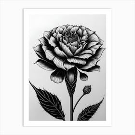 A Carnation In Black White Line Art Vertical Composition 53 Art Print