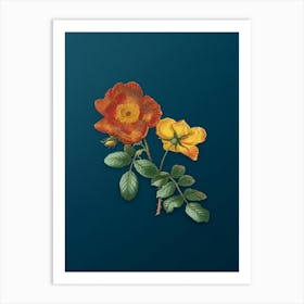 Vintage Sweetbriar Rose Botanical Art on Teal Blue n.0431 Art Print