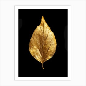 Gold Leaf On Black Background Art Print