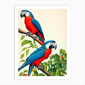 Macaw James Audubon Vintage Style Bird Art Print
