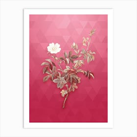 Vintage White Downy Rose Botanical in Gold on Viva Magenta n.0057 Art Print
