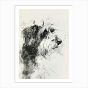  Bearded Collie Dog Charcoal Line 1 Art Print