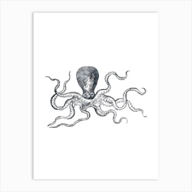 Inkpress Octopus 2 Art Print