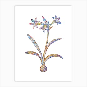 Stained Glass Amaryllis Mosaic Botanical Illustration on White n.0195 Art Print