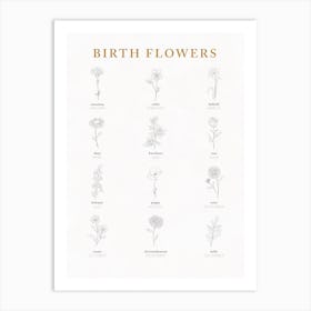 Birth Flowers Chart Art Print