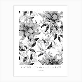 Fuchsia B&W Vintage Botanical Poster Art Print