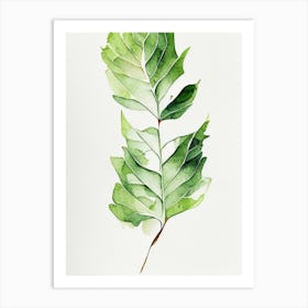 Wild Lettuce Leaf Minimalist Watercolour 6 Art Print