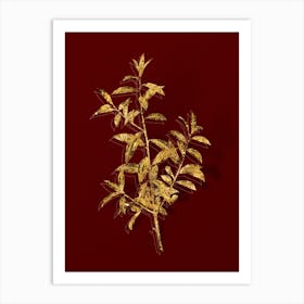 Vintage Alabama Dahoon Branch Botanical in Gold on Red n.0297 Art Print