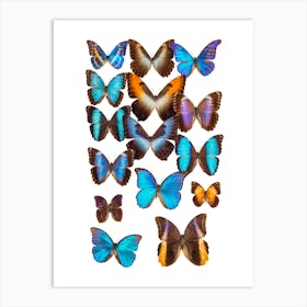 Collection Of Butterflies 2 Art Print