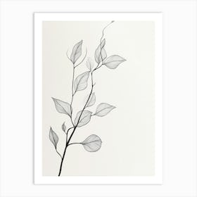 Leaves On A Branch Art Print