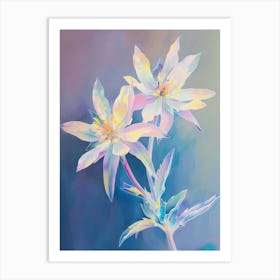 Iridescent Flower Edelweiss 1 Art Print