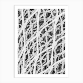 Black And White Netting maritime net Art Print